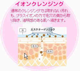 �C�I���N�����W���O